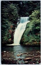 Postcard - The Lower Falls, Buck Hill Falls, Pennsylvania, USA picture