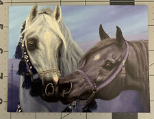 BEAUTIFUL POSTCARD ARABIAN HORSE HORSES NATIVE COSTUME ART PRINT 4 1/4