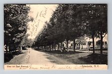 Caledonia NY-New York, View on East Avenue Vintage Souvenir Postcard picture