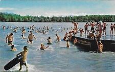 Vintage Alaska Chrome Postcard Swimming In Lake Spenard Anchorage picture