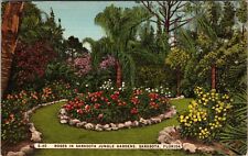Sarasota FL-Florida, Roses In Jungle Gardens, Vintage Postcard picture