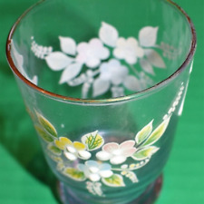Beautiful Hand Painted Shot Glass picture