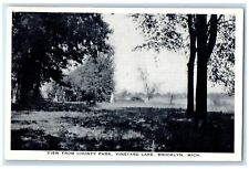 c1940 View County Park Vineyard Lake Brooklyn Michigan MI Rexall Store Postcard picture