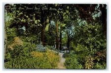1912 TERRE HAUTE, IN Postcard-  LOVERS LANE FOREST PARK IND picture
