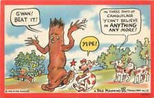 1940s Southwest Comic Humor Tree Dogs Manning #25 Postcard 22-8509 picture