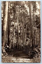 Cass Lake Wisconsin WI Postcard RPPC Photo Walk On Star Island Trees 1935 Posted picture