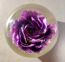 60mm Real Purple Carnation in Clear Lucite Resin January Birth Month Flower Gift picture