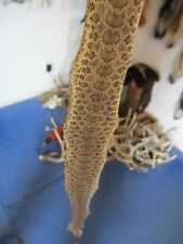rattlesnake skin prairie rattle snake hide DRIED NOT TANNED wrap bow 18 in. Y2 picture