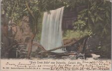 Black Crook Falls Palenville, Catskill Mts Cranesville New York 1908 Postcard picture