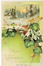 1906 A&M #195 Merry Christmas Holiday Antique Vintage Postcard Winter Scene picture