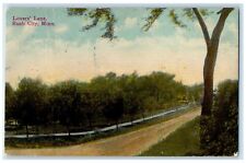 1913 View Of Lover's Lane Rush City Grandy Minnesota MN Antique Postcard picture