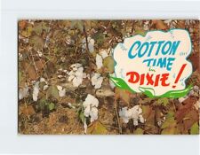 Postcard Cotton Time Dixie USA picture