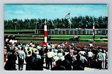 Hialeah FL-Florida, Thrilling Finish For Horses Racing & Fans, Vintage Postcard picture