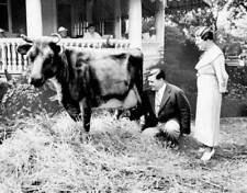 Gov Harold G Hoffman shows farmers how he milks cows under the wat .. Old Photo picture