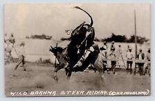 RPPC Cowboy Falls Wild Brahma Steer Riding Doubleday Rodeo Action Photo Postcard picture