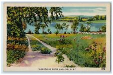1947 Greetings From Flower Field Lake River Trees Manlius New York NY Postcard picture