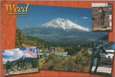 Weed California Multi View Mt Shasta Veterans Sculpture Flowers Postcard picture