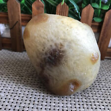 584g Bonsai Suiseki-Natural Gobi Agate Eyes Stone-Rare Stunning Viewing Mh1789 picture