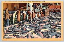 Postcard Interior Salmon Cannery Daily Capacity 60 Tons, Columbia River Unposted picture