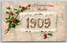 John Winsch~Holly Rectangle With 1909 New Year Greeting~Vintage Postcard picture