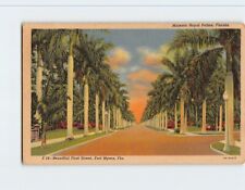 Postcard Royal Palms First Street Fort Myers Florida USA picture
