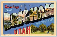 Brigham Utah~Greetings~Peaches~Migratory Birds~Large Letter Linen~1939 Postcard picture