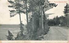 Road To Edgewood Tree Lined Dirt 1908 Michigan MI Canaan VTG P130 picture