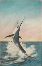 c1940 Hand-Colored Postcard; Leaping Sailfish Florida Sport Fishing, Duntze picture