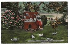 Pasadena California c1915 Cinderella Feeding Doves, Busch Arroyo Gardens picture