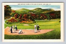 Lake Lure NC-North Carolina, Lake Lure Golf Course, Golfers, Vintage Postcard picture