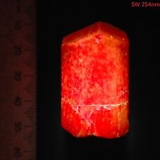 UV reactive purple Scapolite terminated glowing crystal 227ct Australian Stock picture