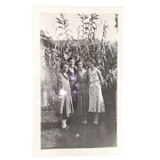 Family in Corn Field Found Photo Tall Corn Stalks 1930s Farming Ag Snapshot picture