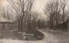 Park Views Austin Minnesota MN Log Cabin 1911 Postcard picture