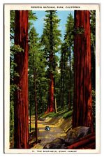 The Sentinels, Giant Forest, Sequoia National Park, California Postcard picture