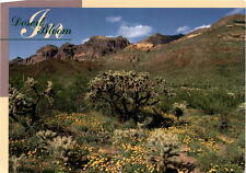 gold poppies, Southwest desert, Bruce Finchum, beauty, vibrancy, Postcard picture