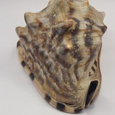 Vintage King Helmet Cassis Tuberosa conch shell. EUC. Large size. picture