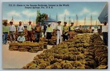 Vintage Florida Postcard - Tarpon Springs Sponge Exchange picture