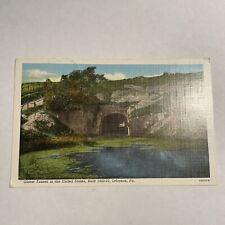 Lebanon PA Pennsylvania Old Union Canal Oldest Tunnel Linen Postcard picture