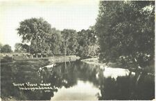 Beautiful View Of Large Trees And The River Near Independence, Iowa Postcard picture