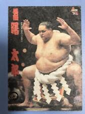 Red Letter Lottery Bbm97 Bbm Sumo Grand Card S-2 Japanese Paper Akebono picture