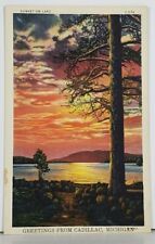 Michigan Greetings from CADILLAC Sunset on Lake Scenic View Postcard J16 picture