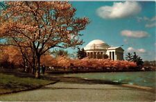 Jefferson Memorial Cherry Trees Annual Blossom Festival Prince Co Vtg Postcard picture
