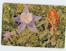 Postcard Mountain Columbine and Indian Paint Brush Yankee Boy Basin Colorado picture