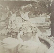 Chicago Jefferson Park Fountain Swans Ducks Man Illinois 1880s Stereoview H275 picture