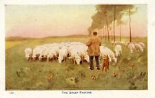 The Sheep Pasture picture