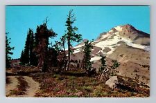 Mount Hood OR-Oregon, Mount Hood from Timber Line, Antique Vintage Postcard picture