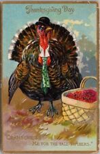 1909 Tuck's THANKSGIVING Postcard Turkey in Bowler hat / Basket of Cranberries picture