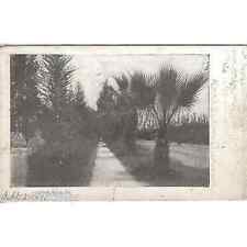 Date Avenue-Rialto,California 1907 picture