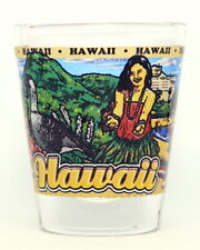HAWAII STATE WRAPAROUND SHOT GLASS SHOTGLASS picture