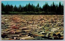 Logging Maine Stream Floating Timber Forest Waterfront Plastichrome VNG Postcard picture